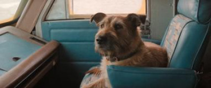 Кадр з фільму Фінч