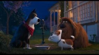 Кадр з фільму Секрети домашніх тварин 2