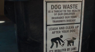 Кадр з фільму Друг