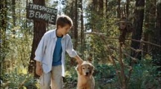 Кадр з фільму Діамантовий пес