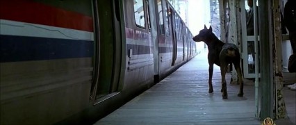 Кадр з фільму Ніжний звір