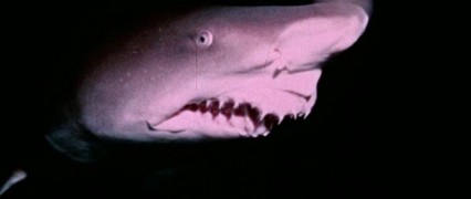 Кадр з фільму Снігова людина