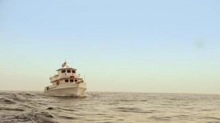 Кадр з фільму Загроза з глибини