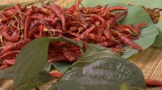 Кадр з фільму Принцеса спецій