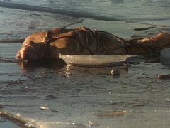 Кадр з фільму Раптовий удар