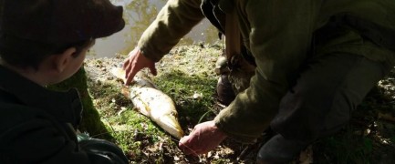 Кадр з фільму Як прогуляти школу з користю