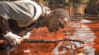 Кадр з фільму Жнива