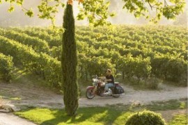 Кадр з фільму Хороший рік