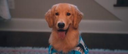 Кадр з фільму Трава зеленіша