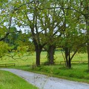 Кадр з фільму Полуничний маєток