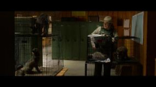 Кадр з фільму Вовк і лев