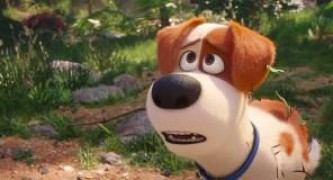 Кадр з фільму Секрети домашніх тварин 2