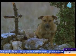 Кадр з фільму Джок