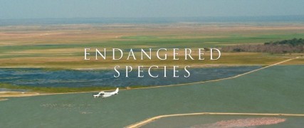 Кадр з фільму Хижаки