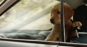 Кадр з фільму Очима собаки