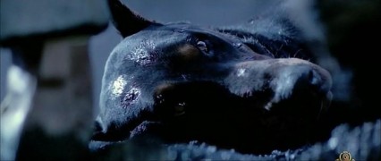 Кадр з фільму Ніжний звір