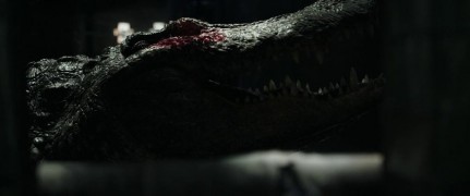 Кадр з фільму Хижаки