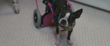 Кадр з фільму Запасний План