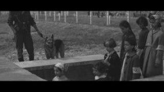 Кадр з фільму Пасажирка