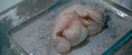 Кадр з фільму Кисень