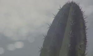 Кадр з фільму Верхня межа