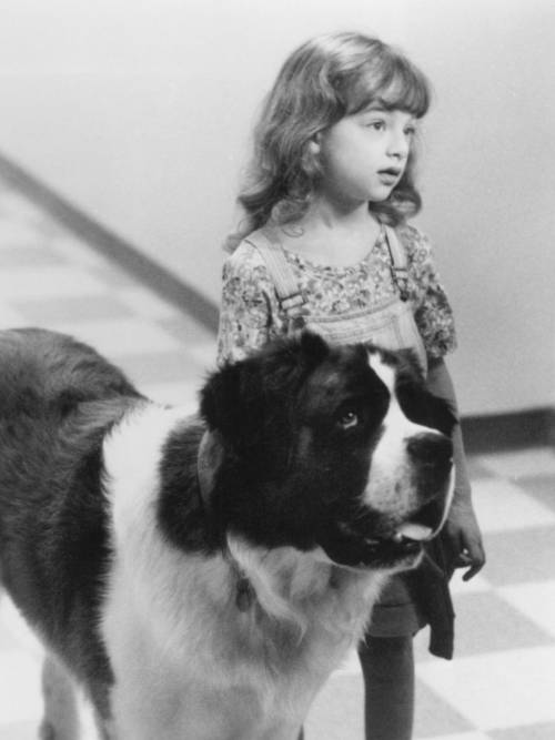 Фото Сара Роуз Карр