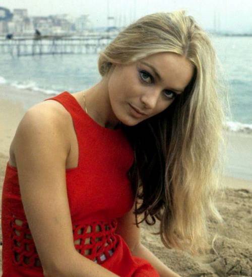 Фото Град Женев'єва