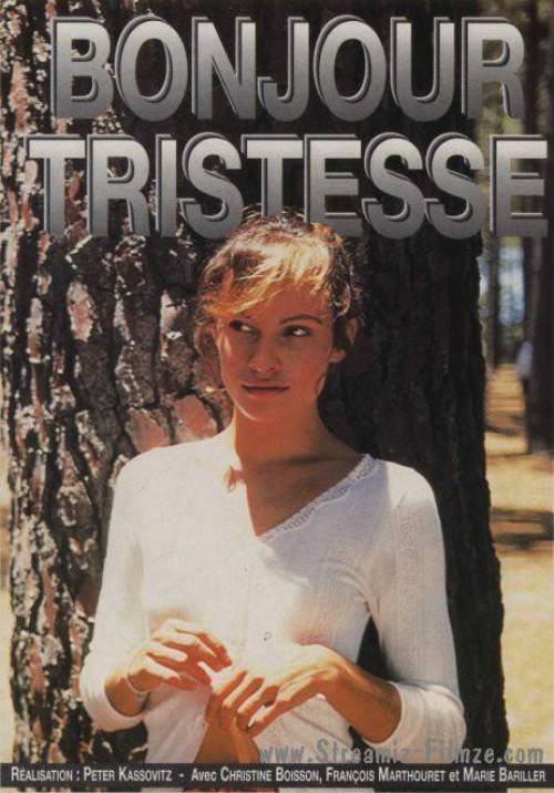 Постер до фільму Добридень, смутку!