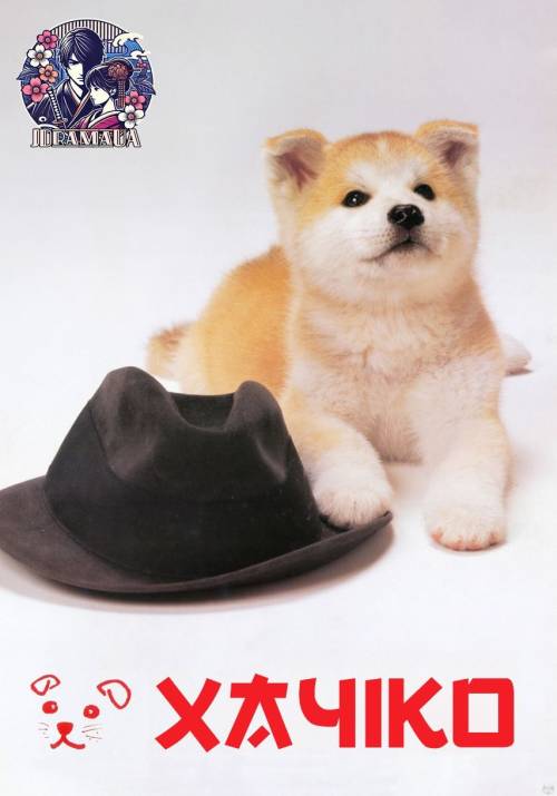 Постер фільму Хачіко