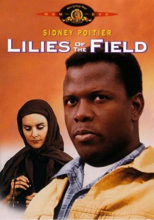 Постер фільму Польові лілеї