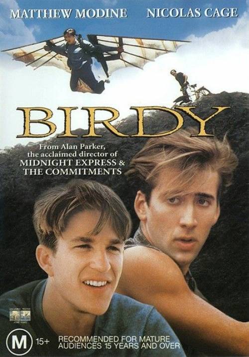 Постер фільму Птаха