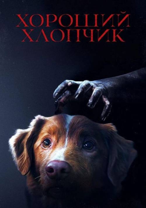 Постер фільму Хороший хлопчик