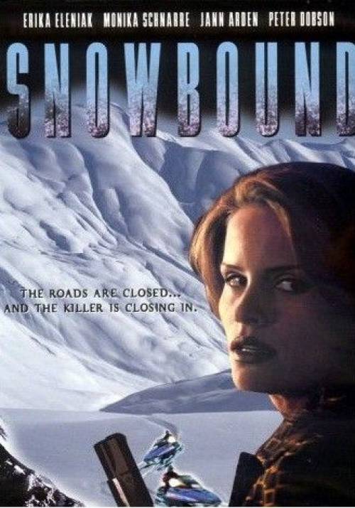 Постер до фільму Засніжені